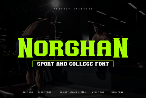 Bring Your Brand to Life with the Norghan Serif Font