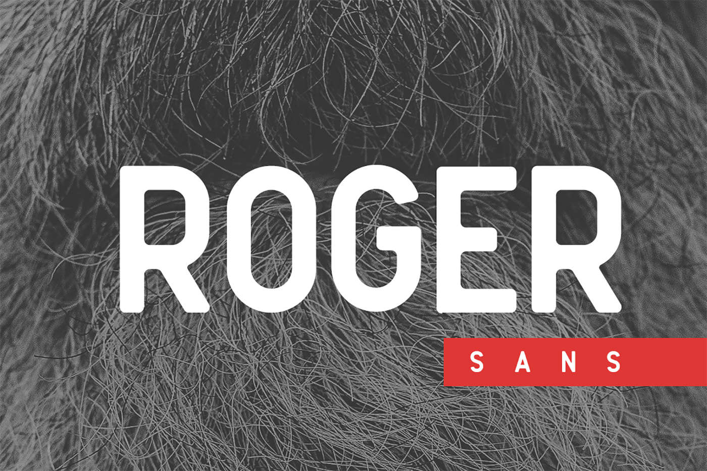 Enhance Your Craft Projects with Roger Sans Font