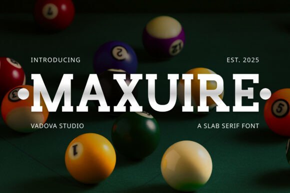 How Maxuire Transformed My Brand's Visual Identity